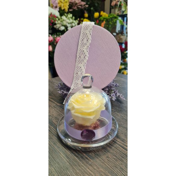 Örök rózsa üveg búrában Fehér