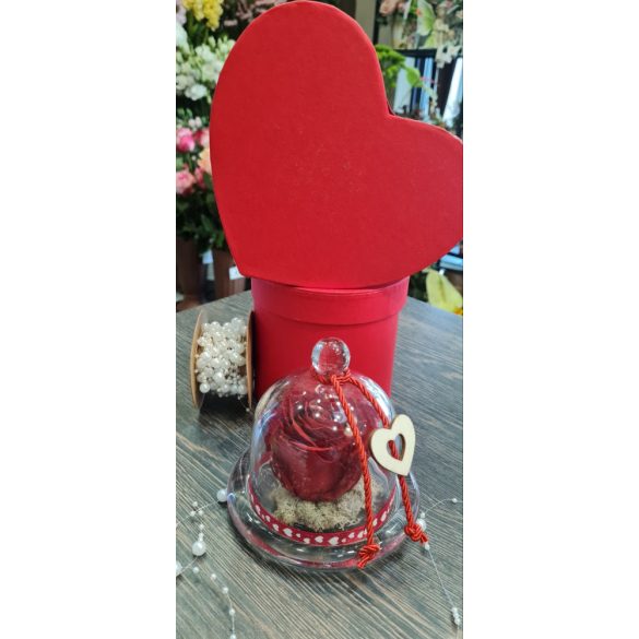 Örök rózsa üveg búrában Piros